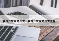 软件开发网站开发（软件开发网站开发流程）