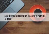 seo优化公司哪家便宜（seo有名气的优化公司）