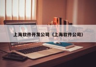 上海软件开发公司（上海软件公司）