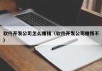 软件开发公司怎么赚钱（软件开发公司赚钱不）