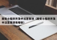 西安小程序开发中注意事项（西安小程序开发中注意事项有哪些）